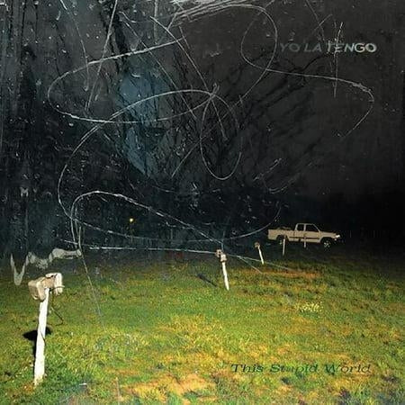 This Stupid World [LP]