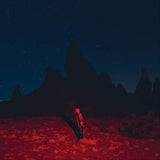 Punisher [LP]